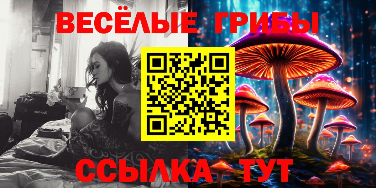 Добрянка  Псилоцибиновые грибы GOLDEN TEACHER  Вход с VPN 