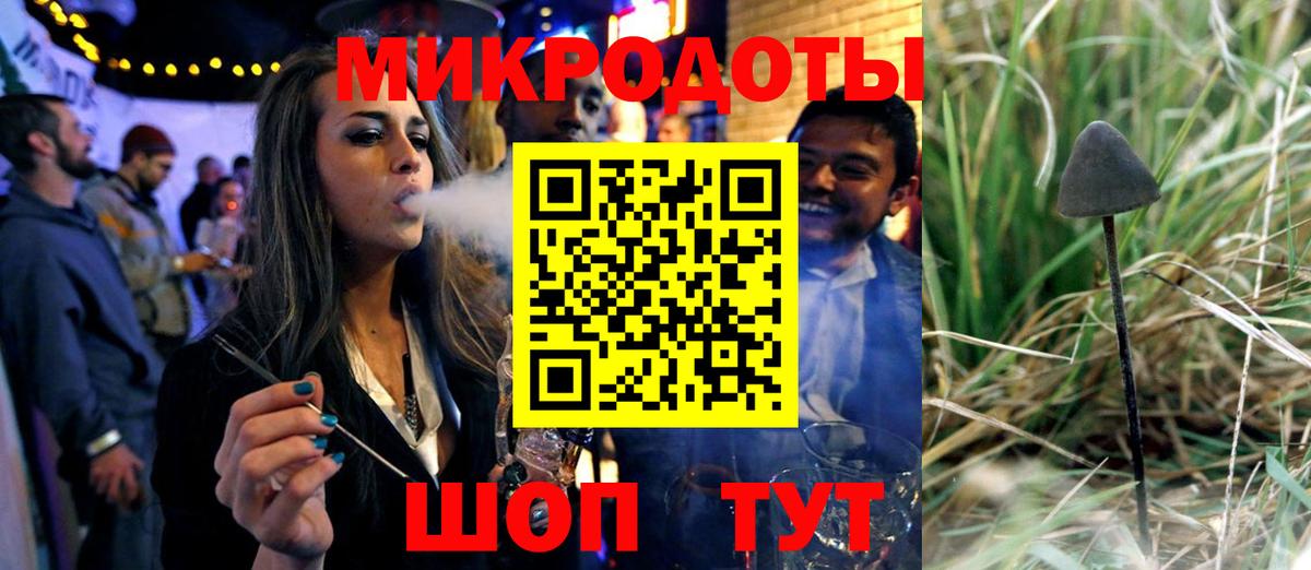 Псилоцибиновые грибы Cubensis Добрянка